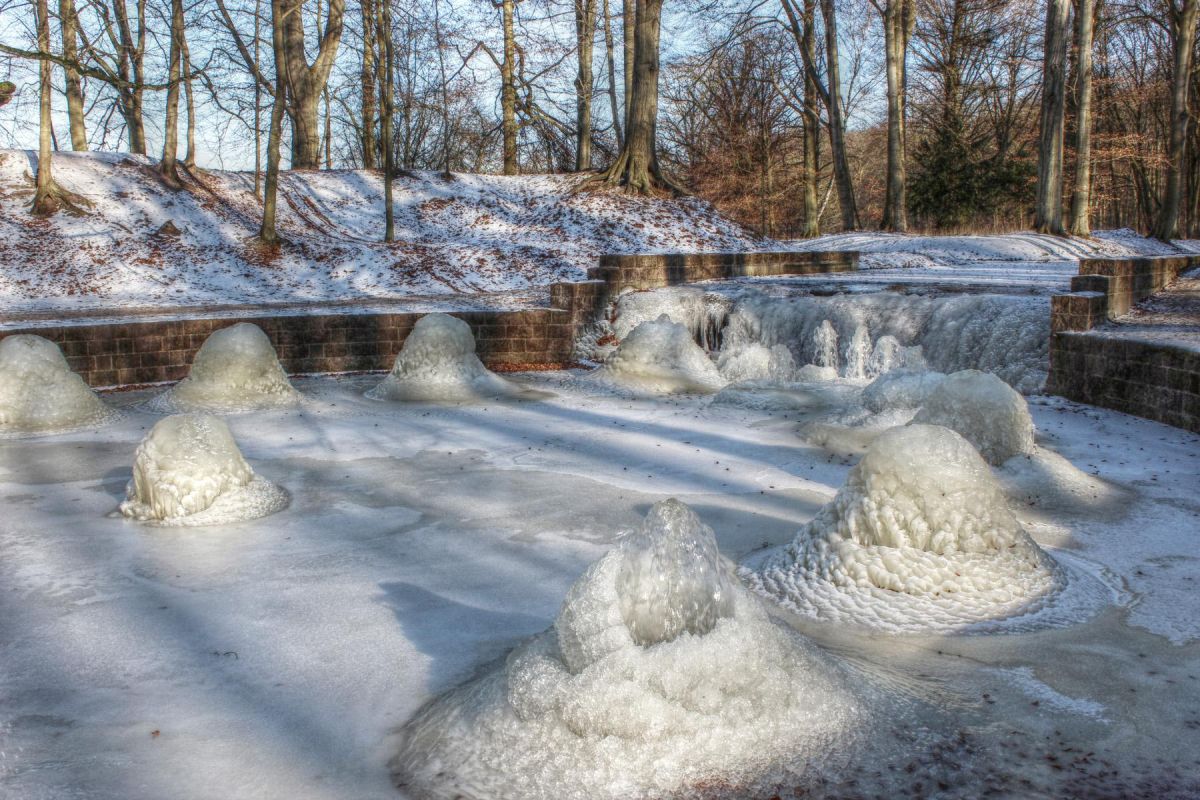 Winter