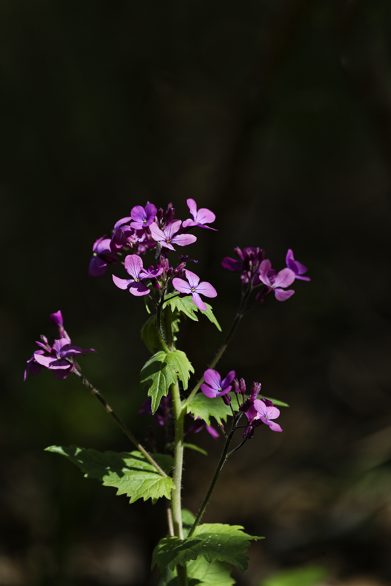Bild_02