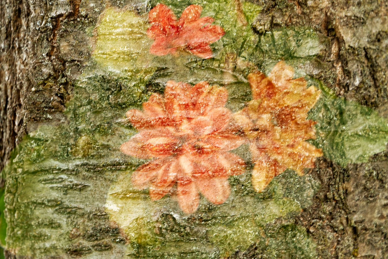 Bild_01