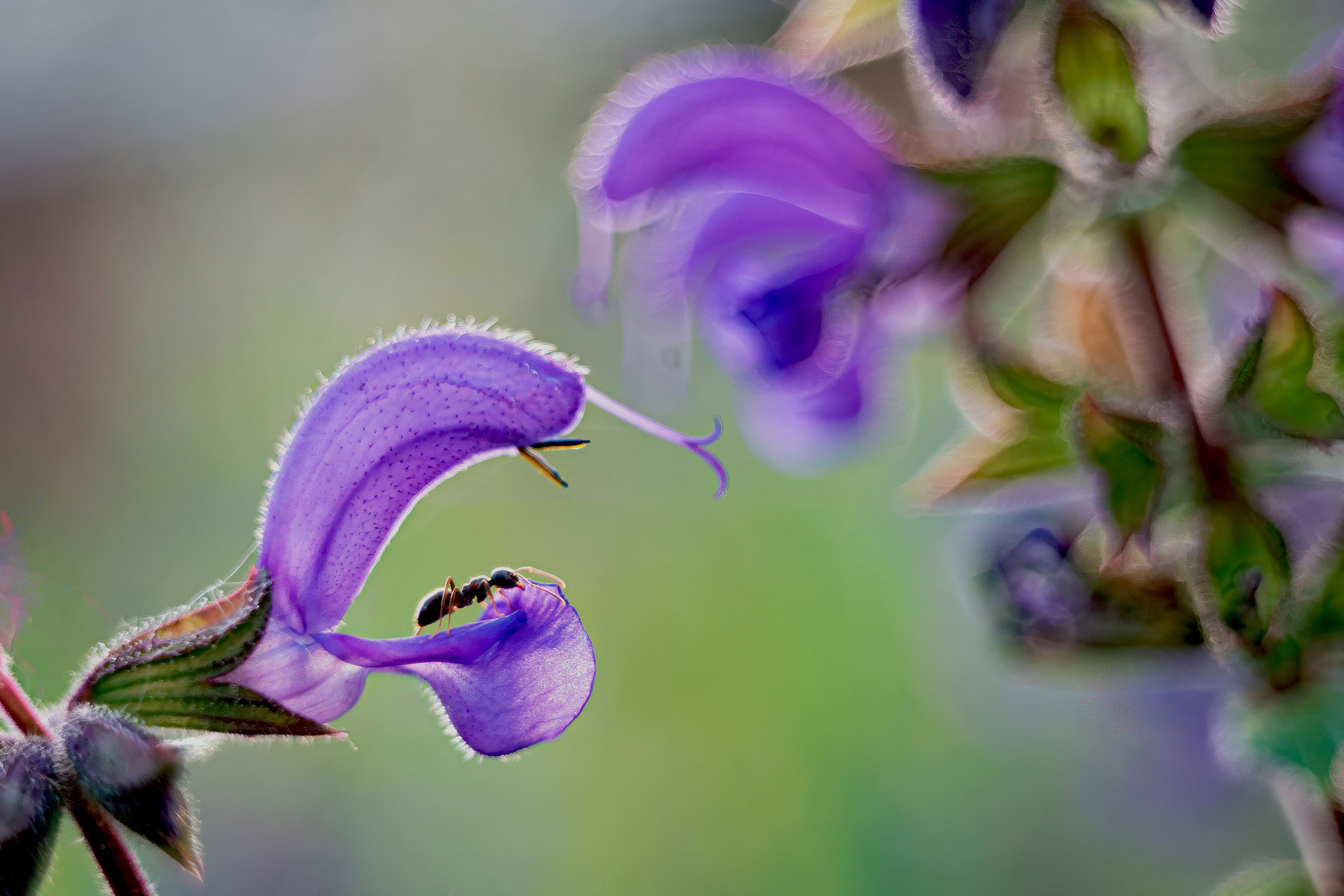 Bild_06